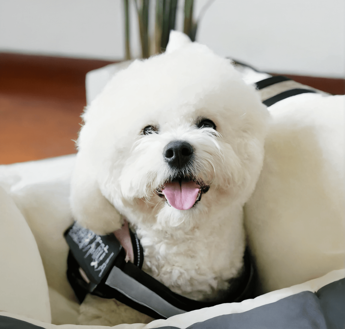 WoofGems® - Duffle Pup Car Seat - Woof Gems