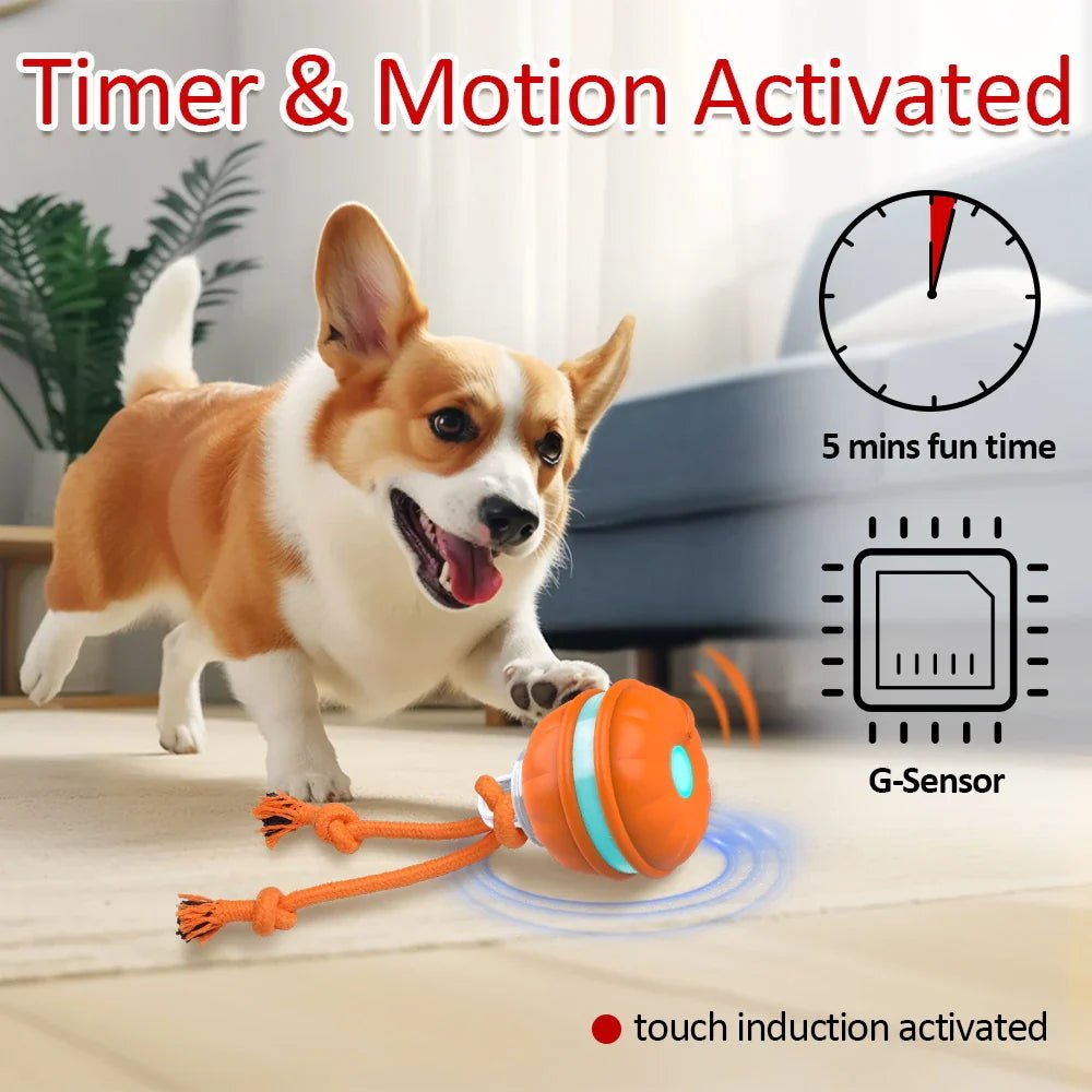 WoofGems® - PlayPaws Roller - Woof Gems