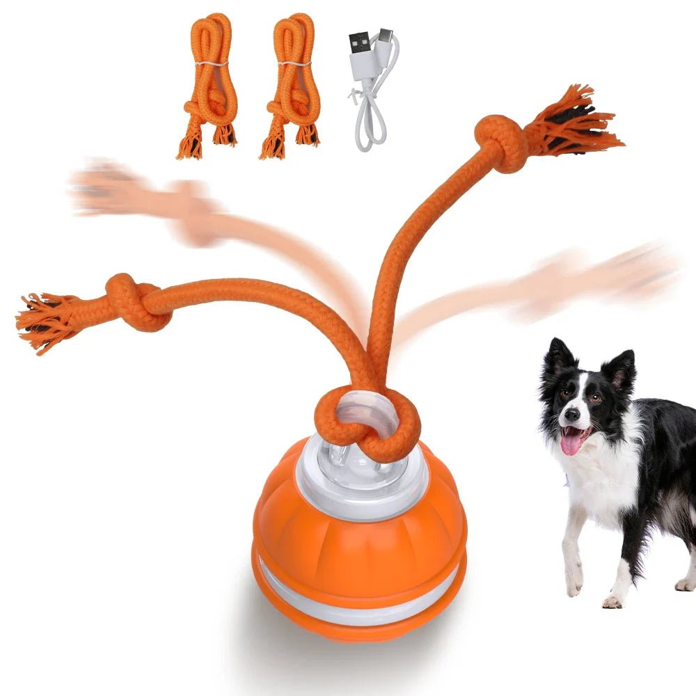 WoofGems® - PlayPaws Roller - Woof Gems